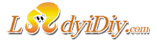 ladyidiy logo